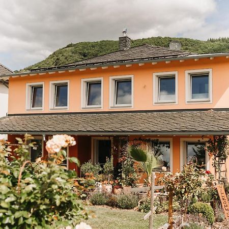 Wein- Und Gaestehaus Schwaab&Sohn 에르덴 외부 사진